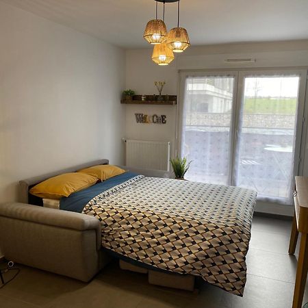 Bel Appartement Lumineux A 5 Minutes D'Annecy Seynod Exterior foto